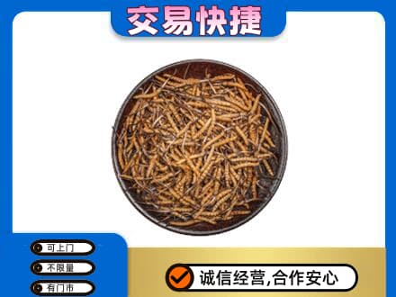 澄迈回收散虫草